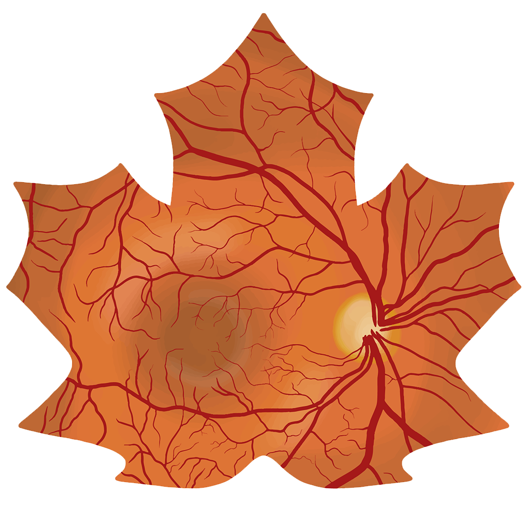 Clinical Optometry Poland 2026
